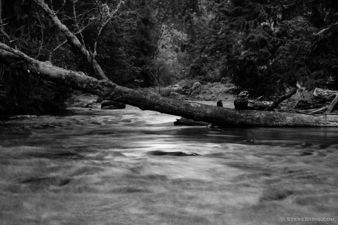 Lyre River No. 4, Olympic Peninsula, Washington, July 2013 | Pacific ...