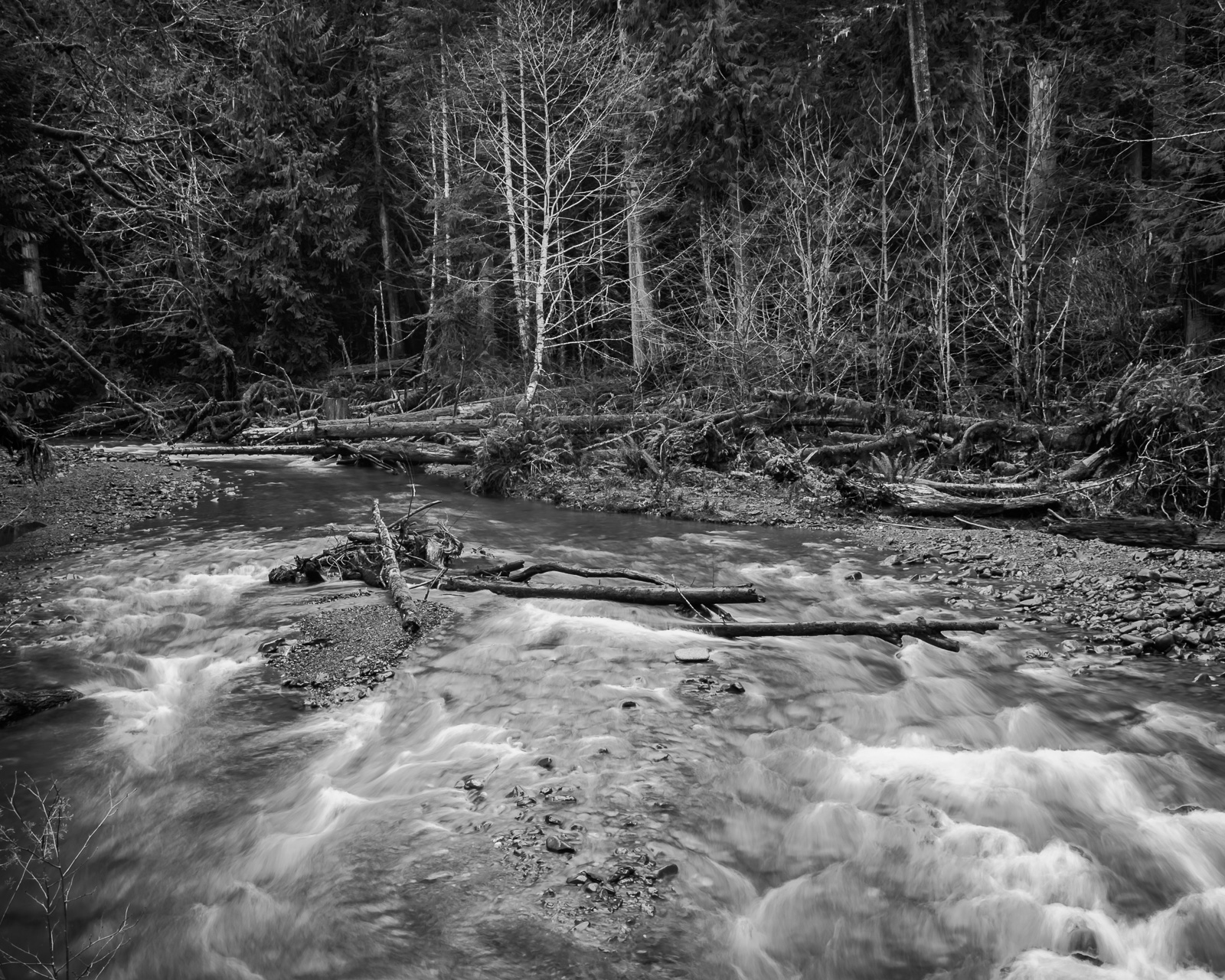 Barnes Creek, Olympic National Park, Washington, 2016