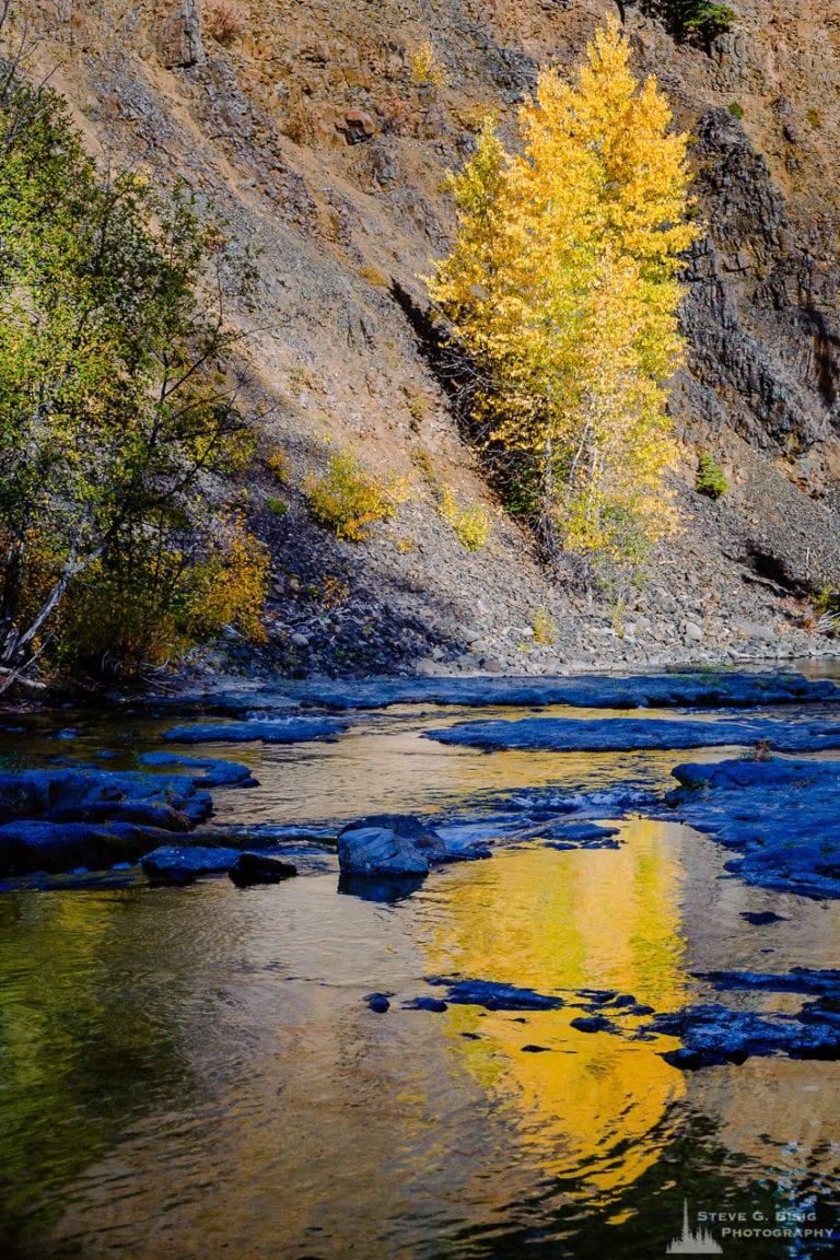 Early Autumn Afternoon Drive Along the Little Naches River, Washington ...