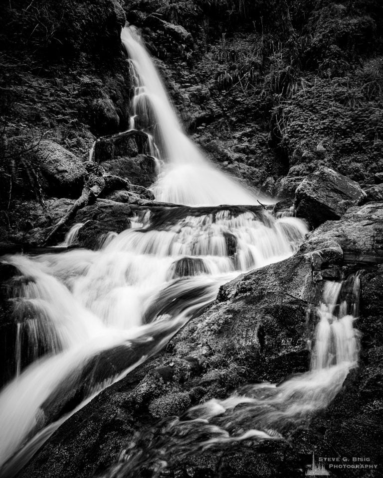 Cascading Falls, Washington, 2019 | Steve G.Bisig Photography