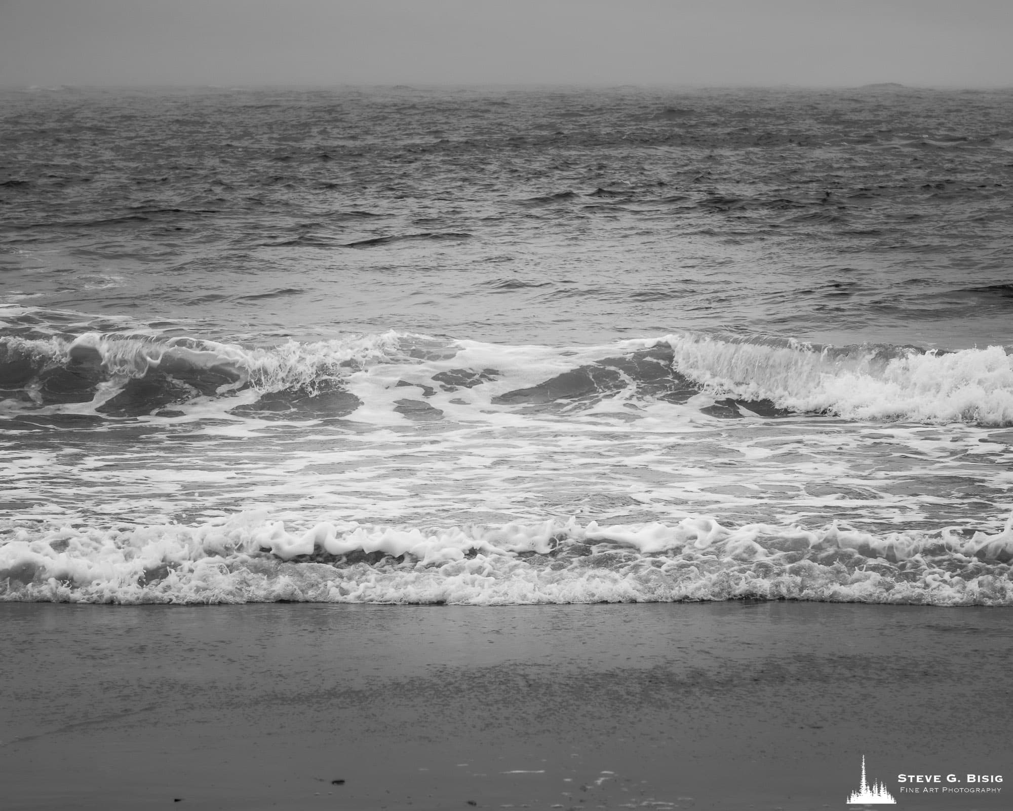 North Cove Beach, Study 5, Washington, 2022 | Steve G.Bisig Photography