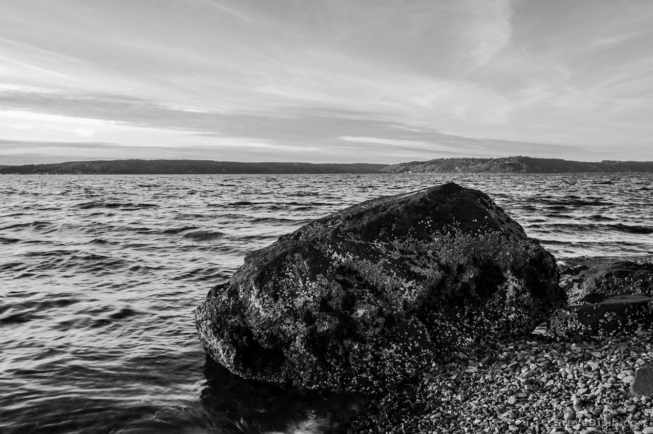 Puget Sound, Browns Point Washington, 2015 | Pacific Northwest Black ...